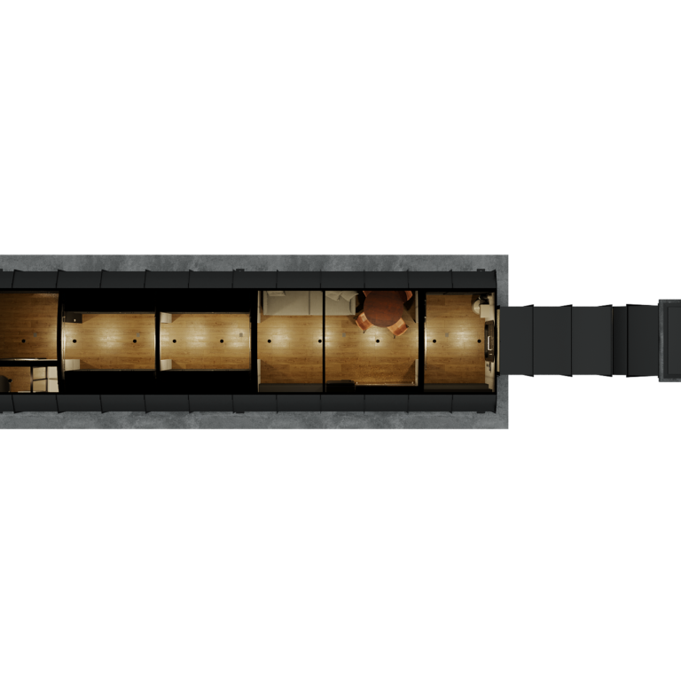 Grey x ray üst görünüm